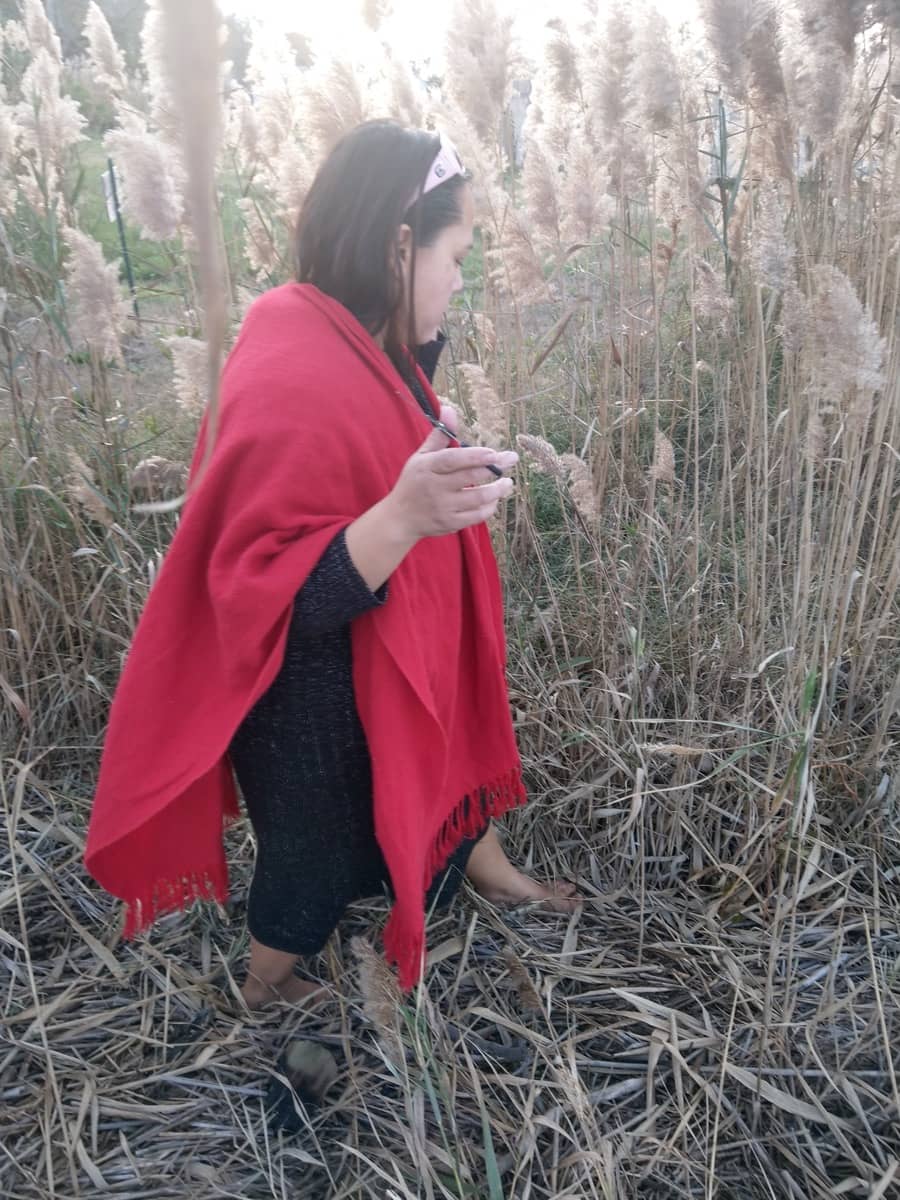 Jacqui watches for broken reeds while walking barefoot in the marshes